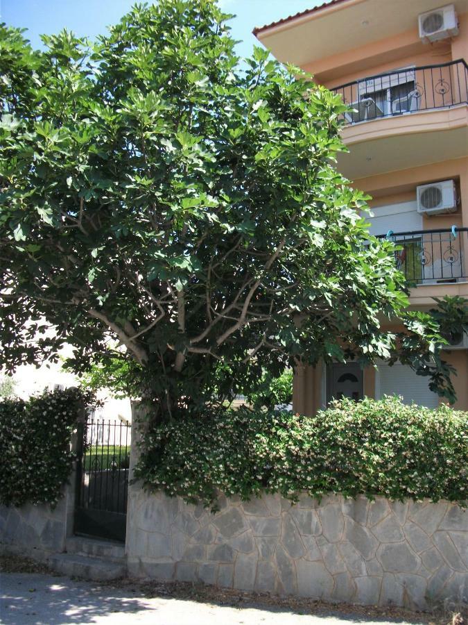Fani House Lejlighed Kallithea  Eksteriør billede